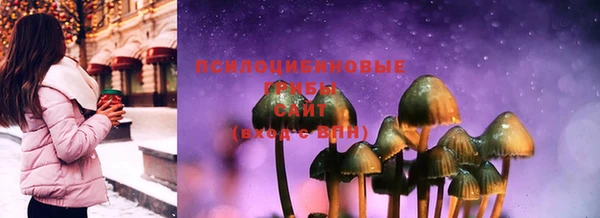 стаф Аркадак