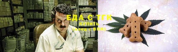 твердый Арсеньев