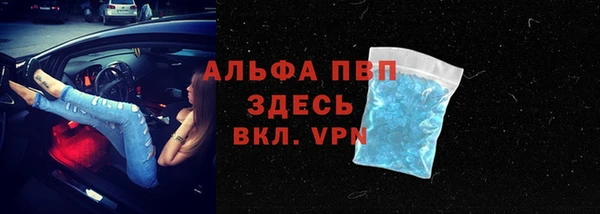 стаф Аркадак