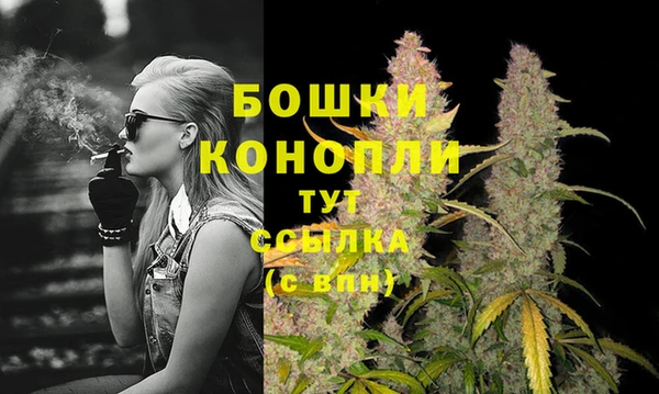 стаф Аркадак