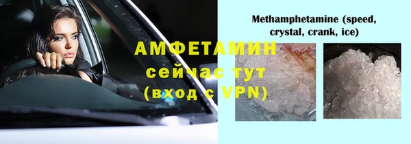 стаф Аркадак