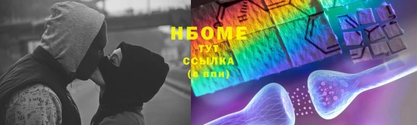 стаф Аркадак