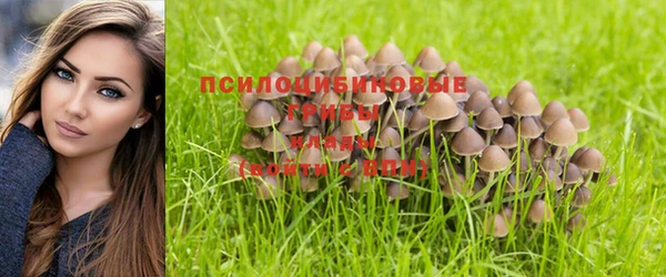 jwh Армянск