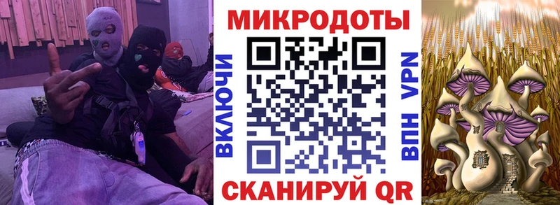 Галлюциногенные грибы мухоморы  хочу   kraken онион  Бабаево 